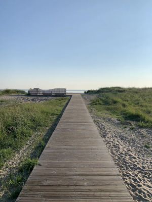 Image of Strandläufer