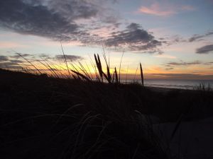 Image of Cozy fisher cottage in De Haan, 600 m from the sandy beach