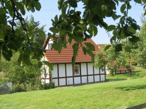 Image of Holiday house Scout 60 - for 5 persons - pet allowed - Holiday house Scout 60 in the holiday village Altes Land