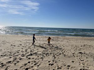 Image of Family cottage on 100 ft of private Lake Michigan beach