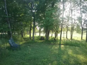 Image of Rolling hills, country setting #2 at Beach Mirage Suites