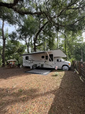 Image of Riverside Retreat, Kayak, Swin, Fish