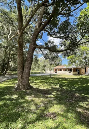 Image of The Piano House Apopka