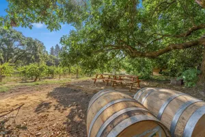 Image of Wine Country Cottage sleeps 4, Healdsburg, Spa