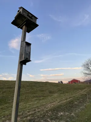 Image of Life at the Dairy Farm