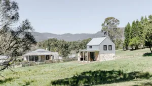 Image of Nido, Kangaroo Valley