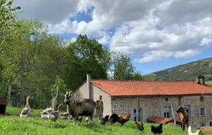 Image of Gîte chaleureux avec cheminée, espace jeux et animaux, proche nature et activités familiales - FR-1-496-315