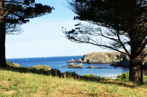 Image of House on the wild coast of beautiful island at sea