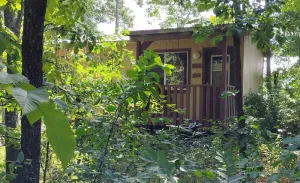 Image of NEW!  Village of Hope - Cabin #12