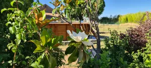 Image of Maisonnette with terrace, garden, swimming pool and view of Sainte Victoire