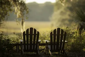 Image of Private Island - Soulfully Peaceful Access to Nature & Wildlife Watching