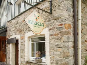 Image of Sunny Holiday Home in Stavelot