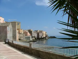 Image of WATERFRONT STUDIO ERBALUNGA