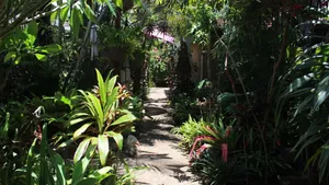 Image of Tallows Beach Sanctuary, beachside unit, walk to beach and shops. WIFI, Netflix