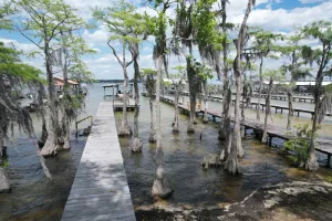 Image of Lakefront with Private Pier at White Lake