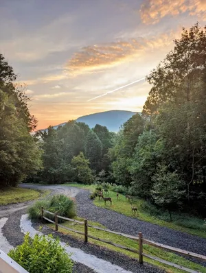 Image of Walking distance to downtown\/beautiful mountain views.
