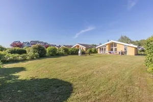 Image of Seeschwalbe 20
