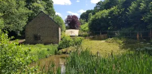 Image of Nature cottage in Suisse Normande