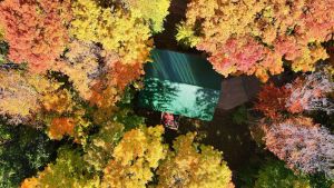 Image of Big Lake Cabin with Hot Tub\/ Kayaks\/ Ping Pong\/ Cable