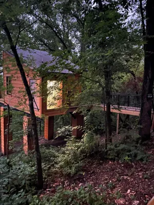 Image of The Riverbirch Treehouse-close to town yet steps away from total wilderness