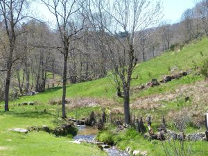 Image of GITE 4 PERSONNES located at the buttress of Aubrac.