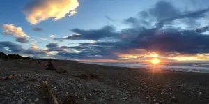 Image of Cameron's Beach Front