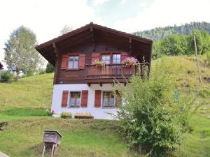 Image of Cozy chalet in Bister near ski area