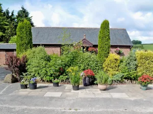 Image of Woods Cottage