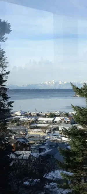Image of TreeTops: Whidbey Island bayside retreat with sound and Olympic Mountain views