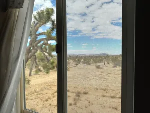 Image of Coyote Cove at Joshua Tree Proper, Joshua Tree National Park,  Central Air