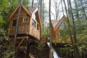 Image of Tradewinds Treehouse | 3 Bed, 1 Bath