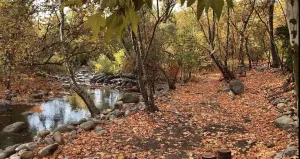 Image of The Fairy Stream 's House