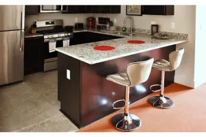 Image of AT YOUR SERVICE! Downtown Aurora 1 Bedroom River Facing Gem