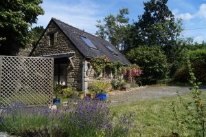 Image of cottage in the countryside - enjoy kayak and sauna