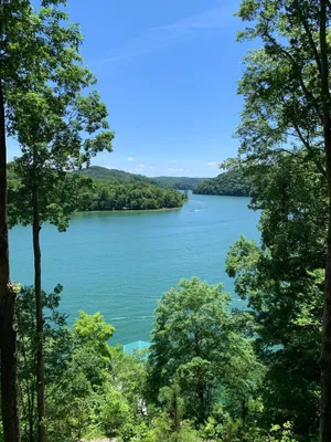 Image of Spectacular lake front home, wide water views, and just 10 minutes off I75!