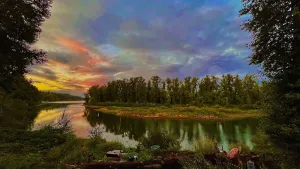 Image of Blue Heron Sanctuary & Serene, river-front cottage