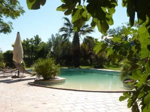 Image of Charming garden house with terrasse and pool