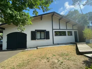 Image of Quiet house under the pines