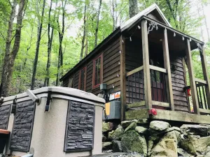 Image of Cozy,Tiny cabin with Comfort tucked away in forest by the water with own Hot Tub