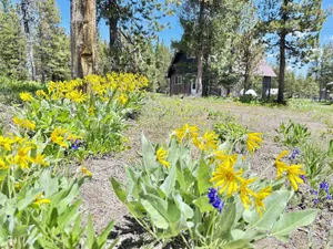 Image of Holden HideAway Only 22 Miles to Yellowstone National Park! Outdoor Kitchen, Fire Pit, & WiFi