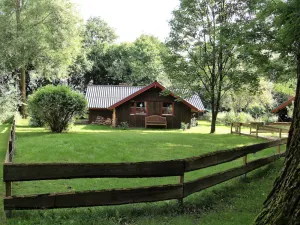 Image of Holidays with child and dog in Gartow am See