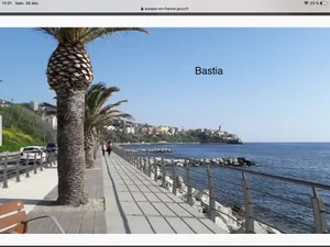 Image of Seaside t3 garden