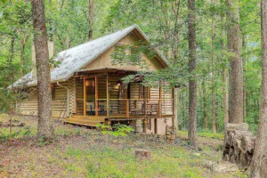 Image of Secluded Cabin ~ 30 Minutes to Downtown Nashville or Downtown Franklin ~ Fire Pit ~ Family Fun!