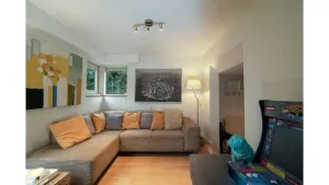 Image of VILLA near the beach, dunes The Hague and Amsterdam