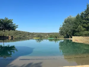 Image of Villa 10 P piscine lagon avec vue époustouflante proche Uzès