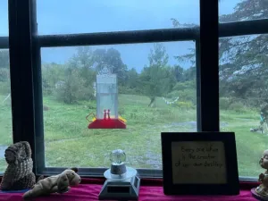 Image of Pet friendly cabin 2 bedrooms  2 bathrooms