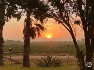 Image of Cheerful two bedroom cottage with stunning sunsets