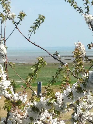 Image of RENT THE TY BOUCHOT located between St Malo, Cancale and Mont St Michel