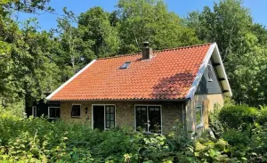 Image of Populierenlaan 3 holiday villa with privacy quiet and nature