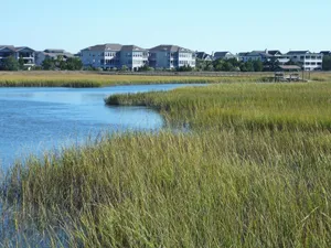 Image of Creekfront Condo, Screened Porch, Sunroom, Elevator, Walk to Beach, 2 Pools